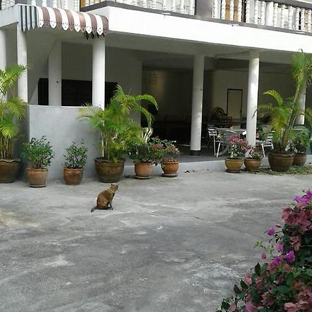 My Palace Inn Koh Phangan Eksteriør billede